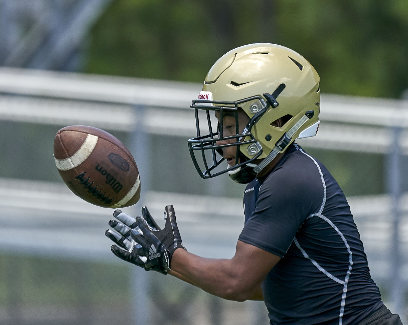 7ON7 FB 11.jpg